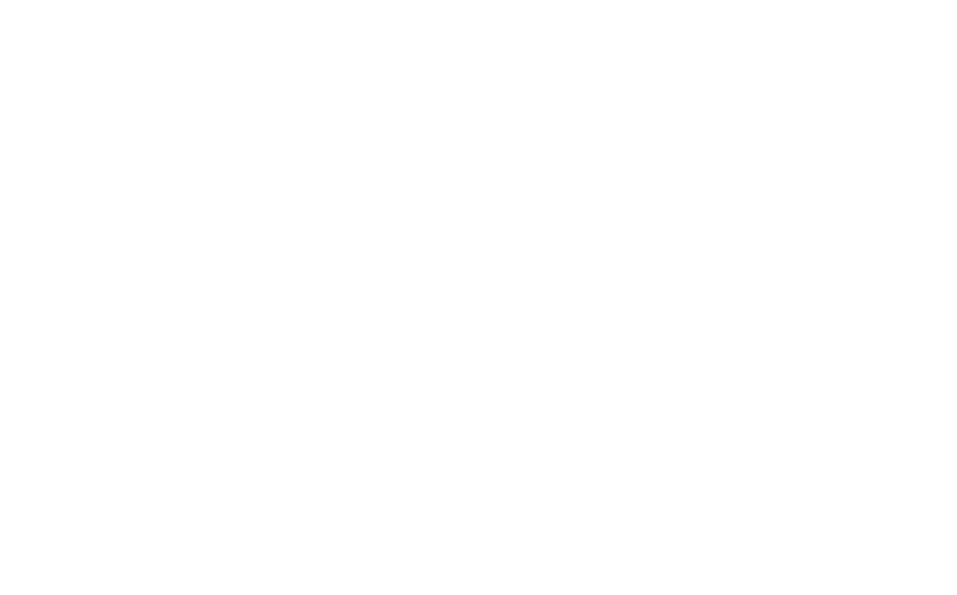 Clifford Beard Plastering